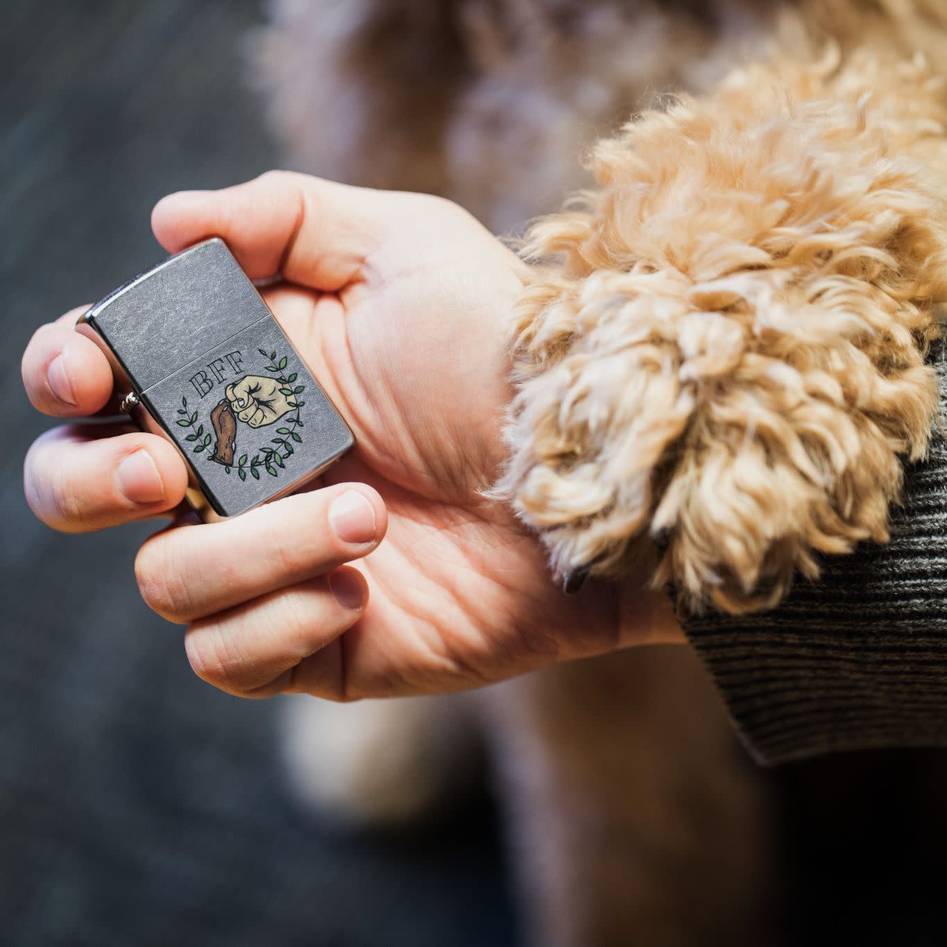 Alternative view of Paw Bump Design