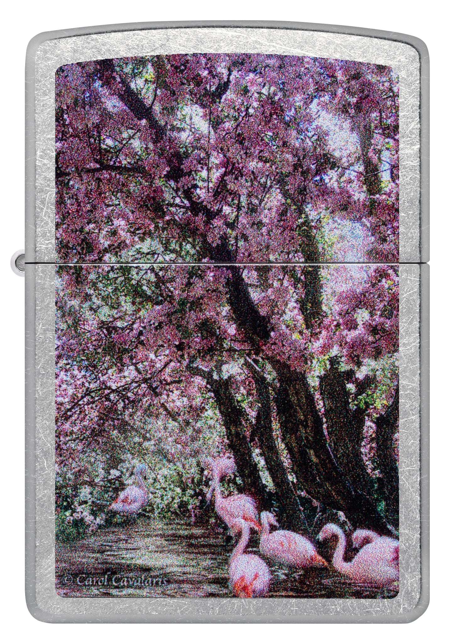 Carol Cavalaris Flamingo Lagoon Design - Image 3