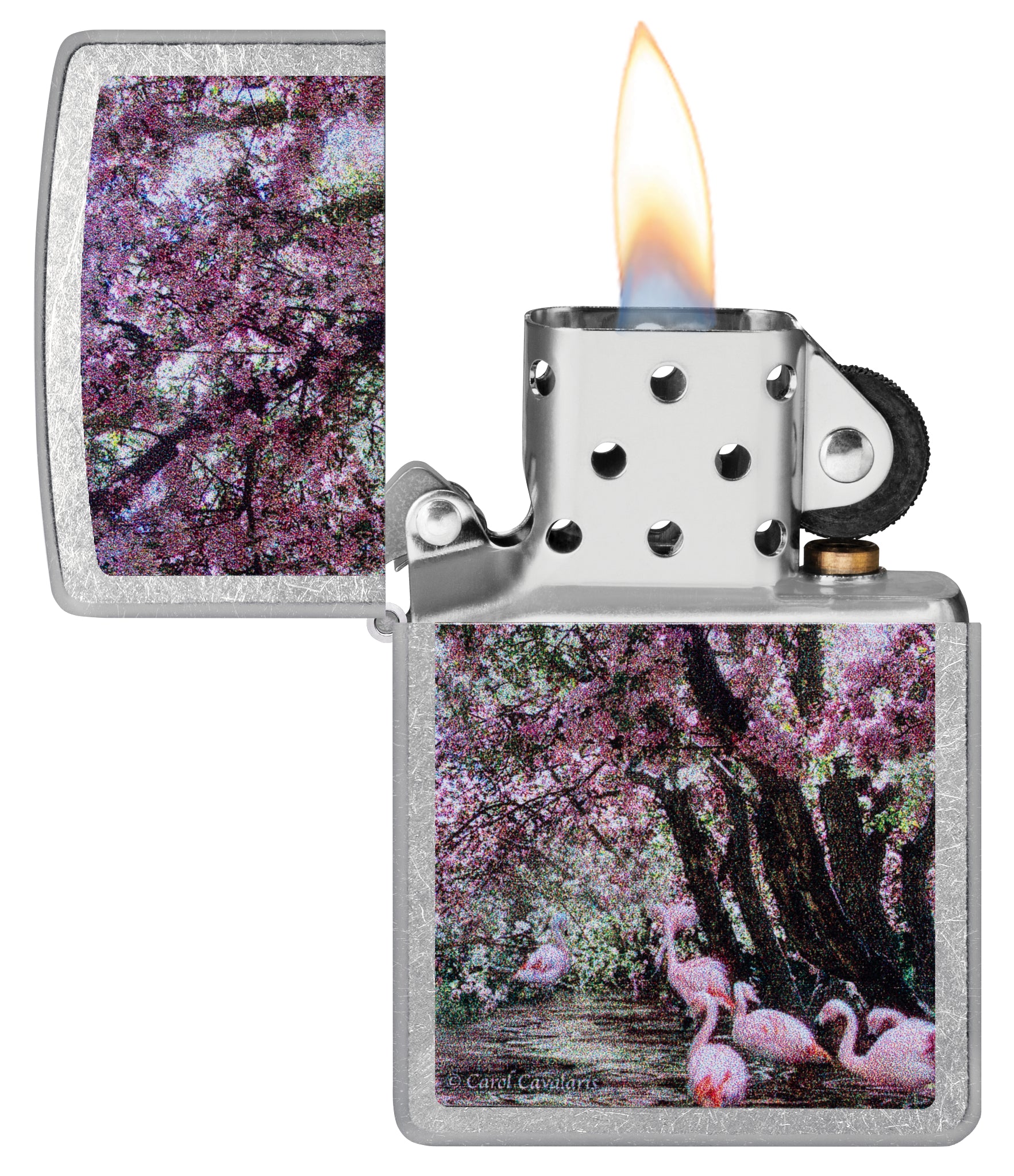 Carol Cavalaris Flamingo Lagoon Design - Image 4