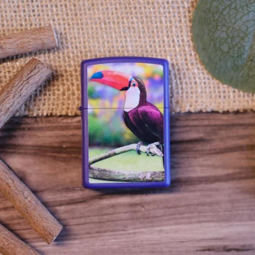 Alternative view of Toucan Design