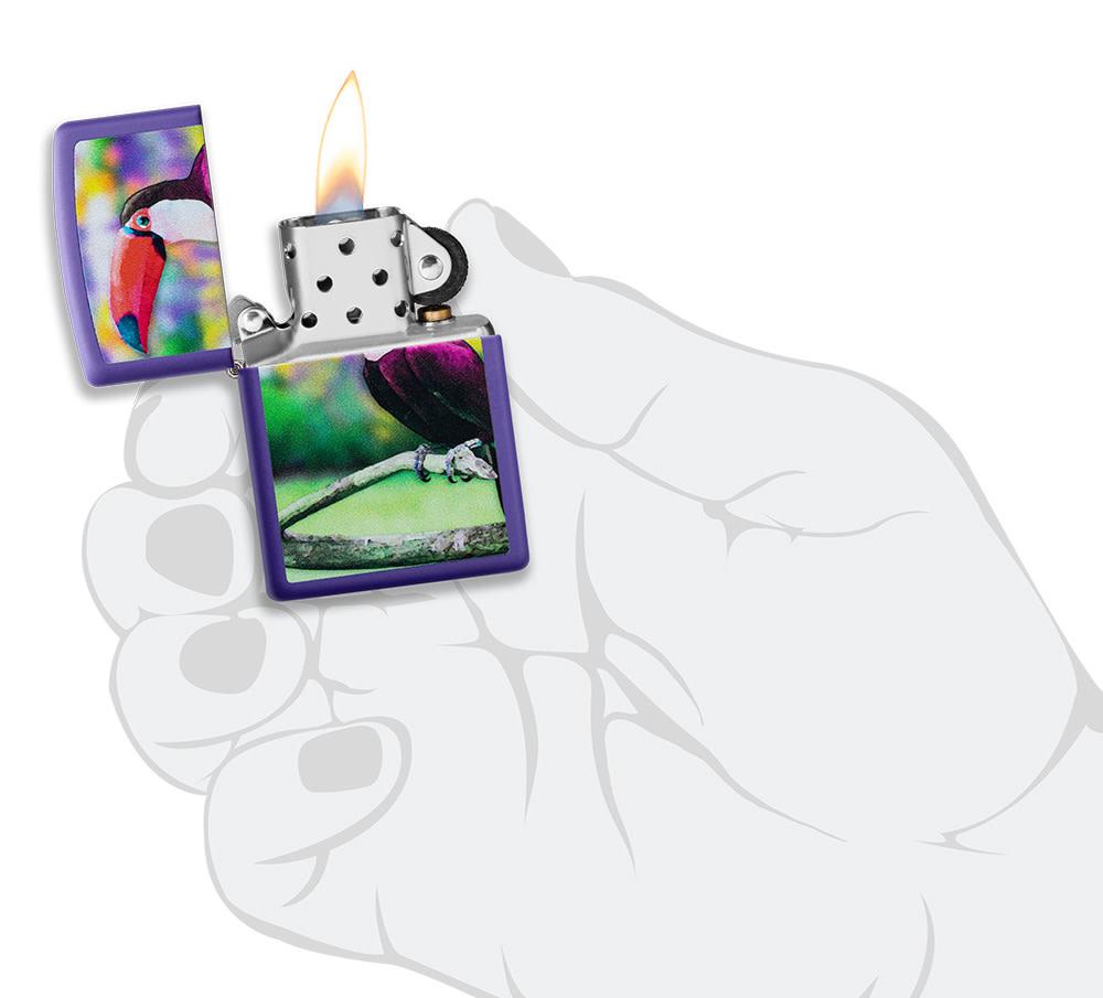 Toucan Design - Image 4