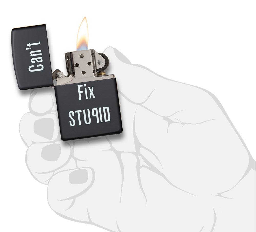 Can't Fix Stupid - Image 4