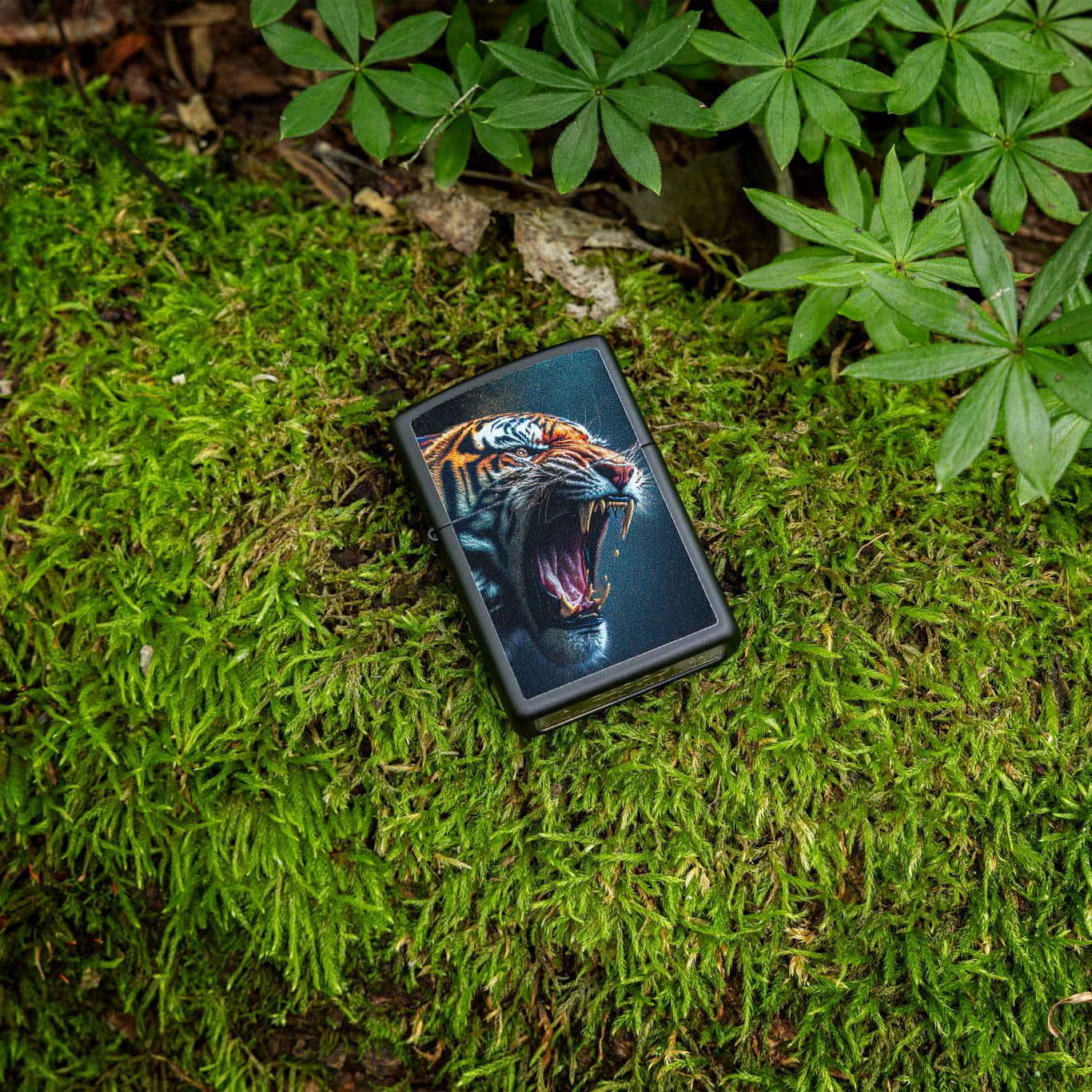 Alternative view of Tiger Roar Design