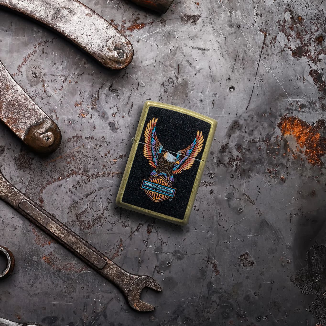 Alternative view of Harley-Davidson Eagle Design