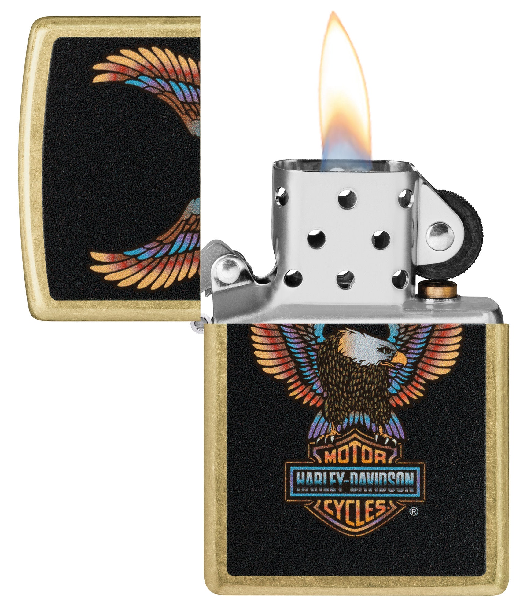 Harley-Davidson Eagle Design - Image 4