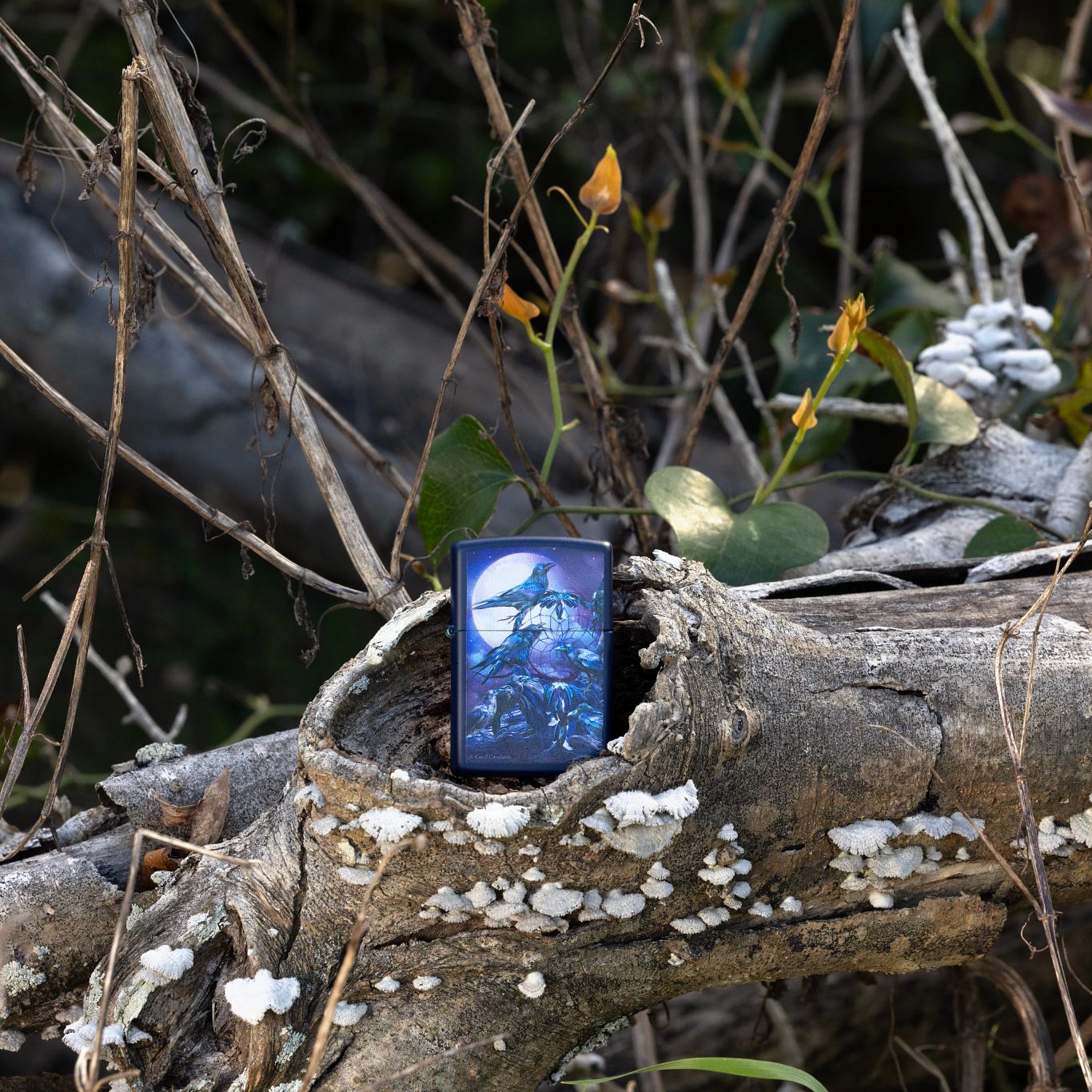 Alternative view of Carol Cavalaris Raven Dreams Design