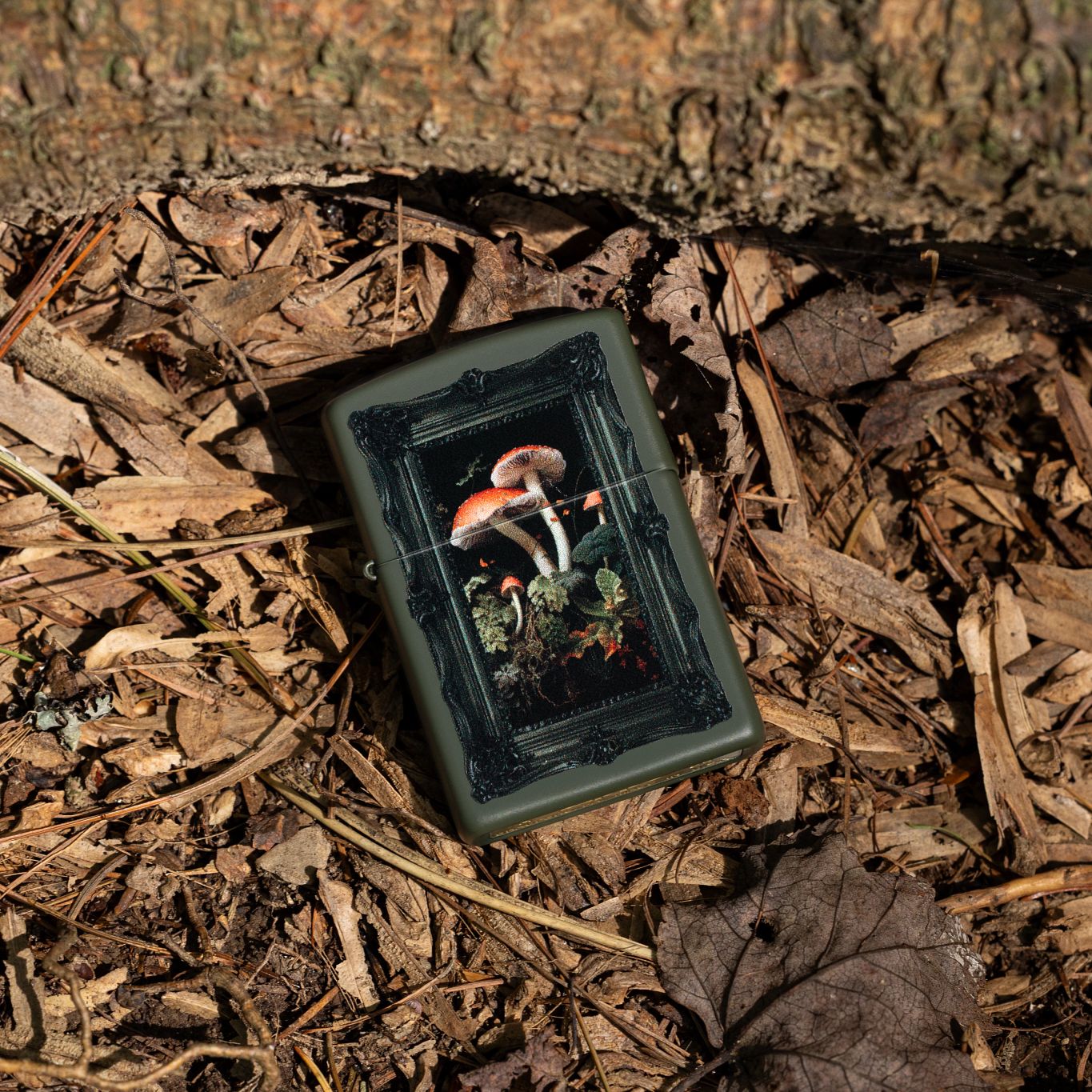 Alternative view of Framed Fungi Design