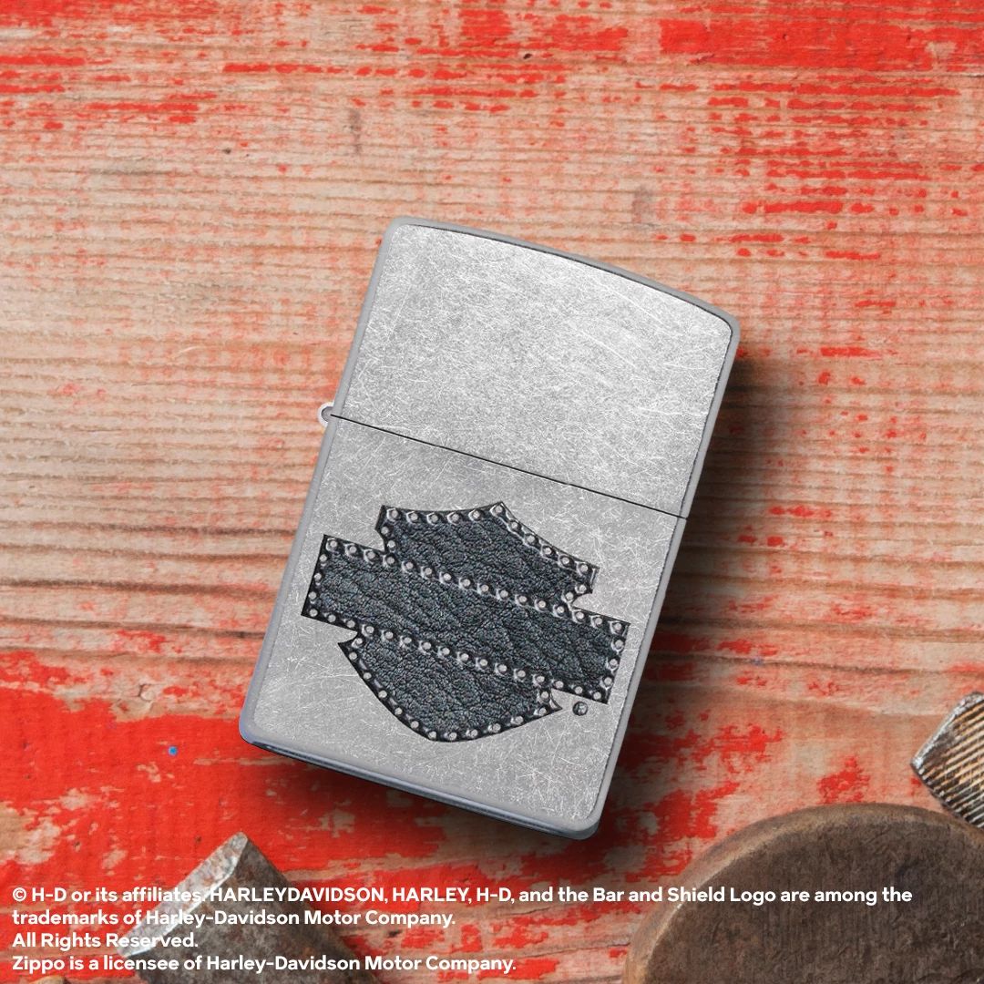 Alternative view of Harley-Davidson Leathered Logo Design