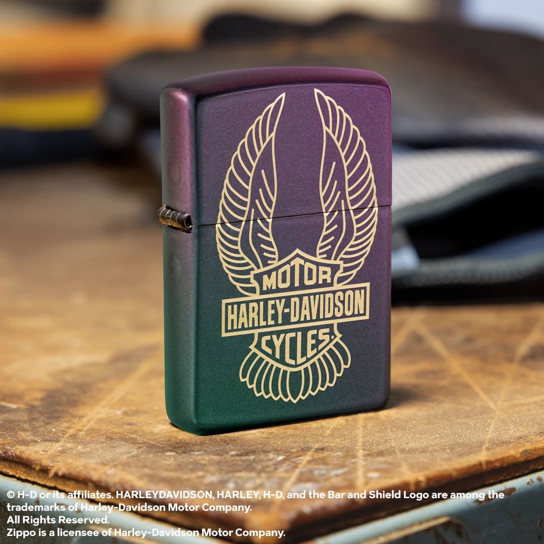 Alternative view of Harley-Davidson Winged Logo Design
