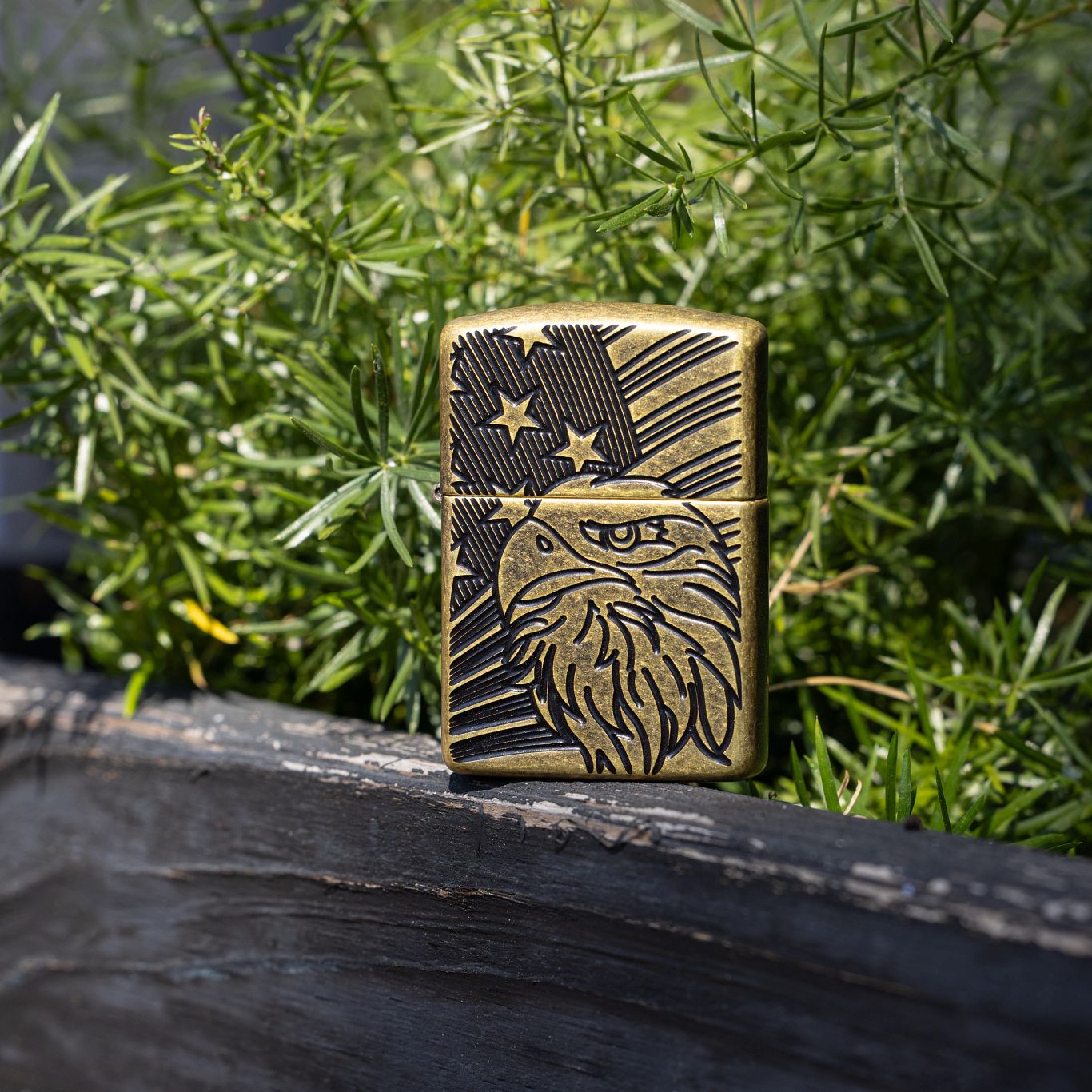 Alternative view of Eagle and Flag Design