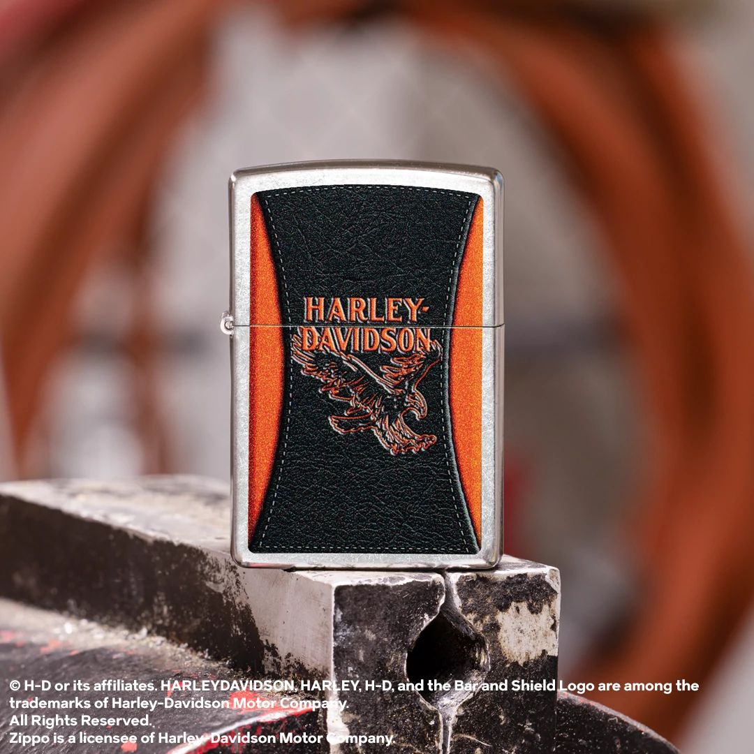 Alternative view of Harley-Davidson Leathered Eagle Design