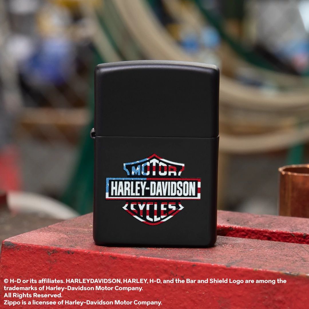 Alternative view of Harley-Davidson Flag Logo Design