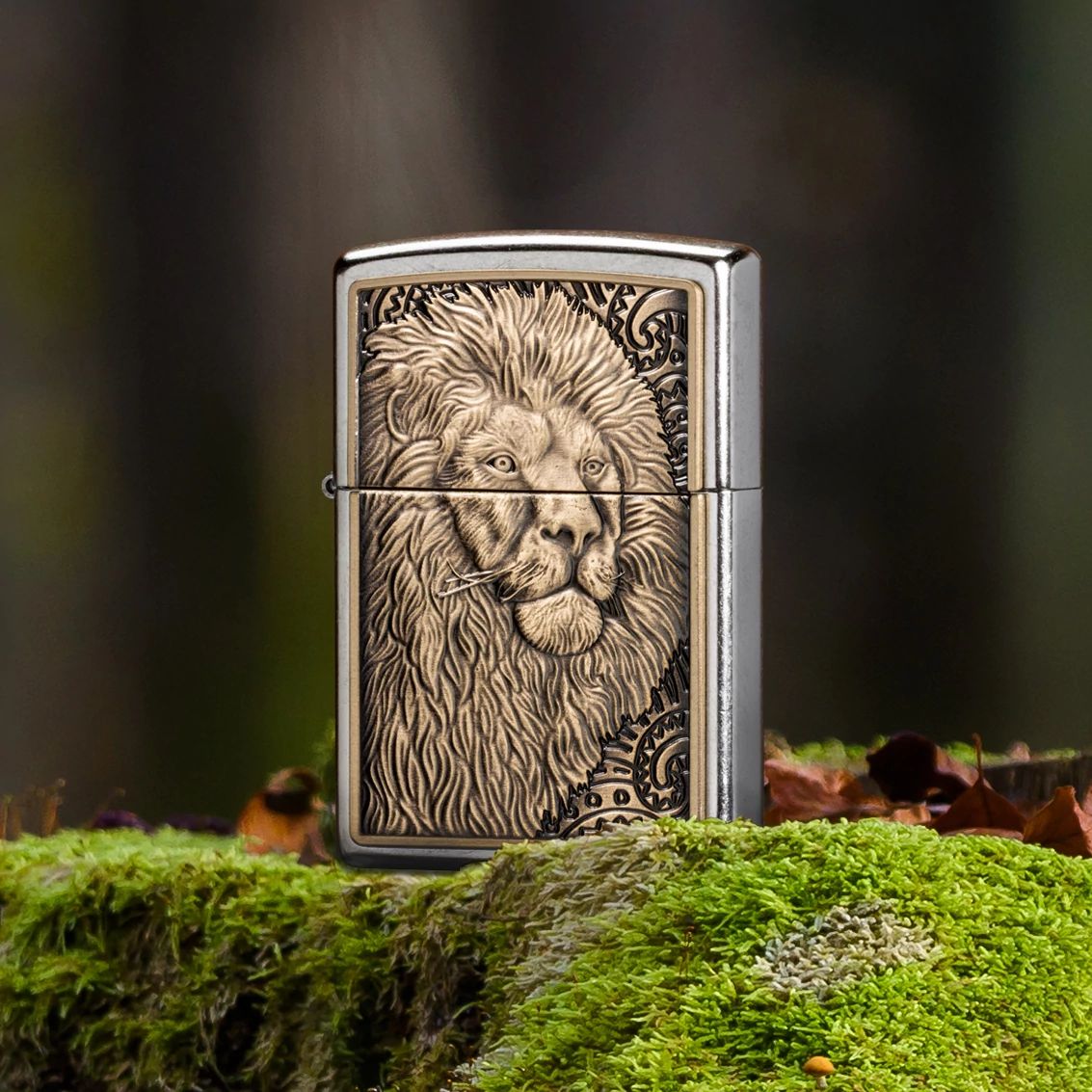 Alternative view of Lion Emblem