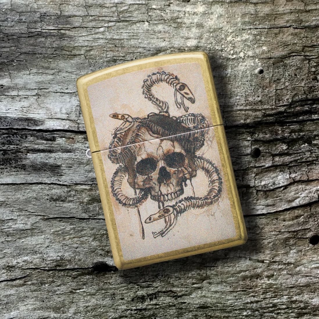 Alternative view of Skull and Snake Bones Design