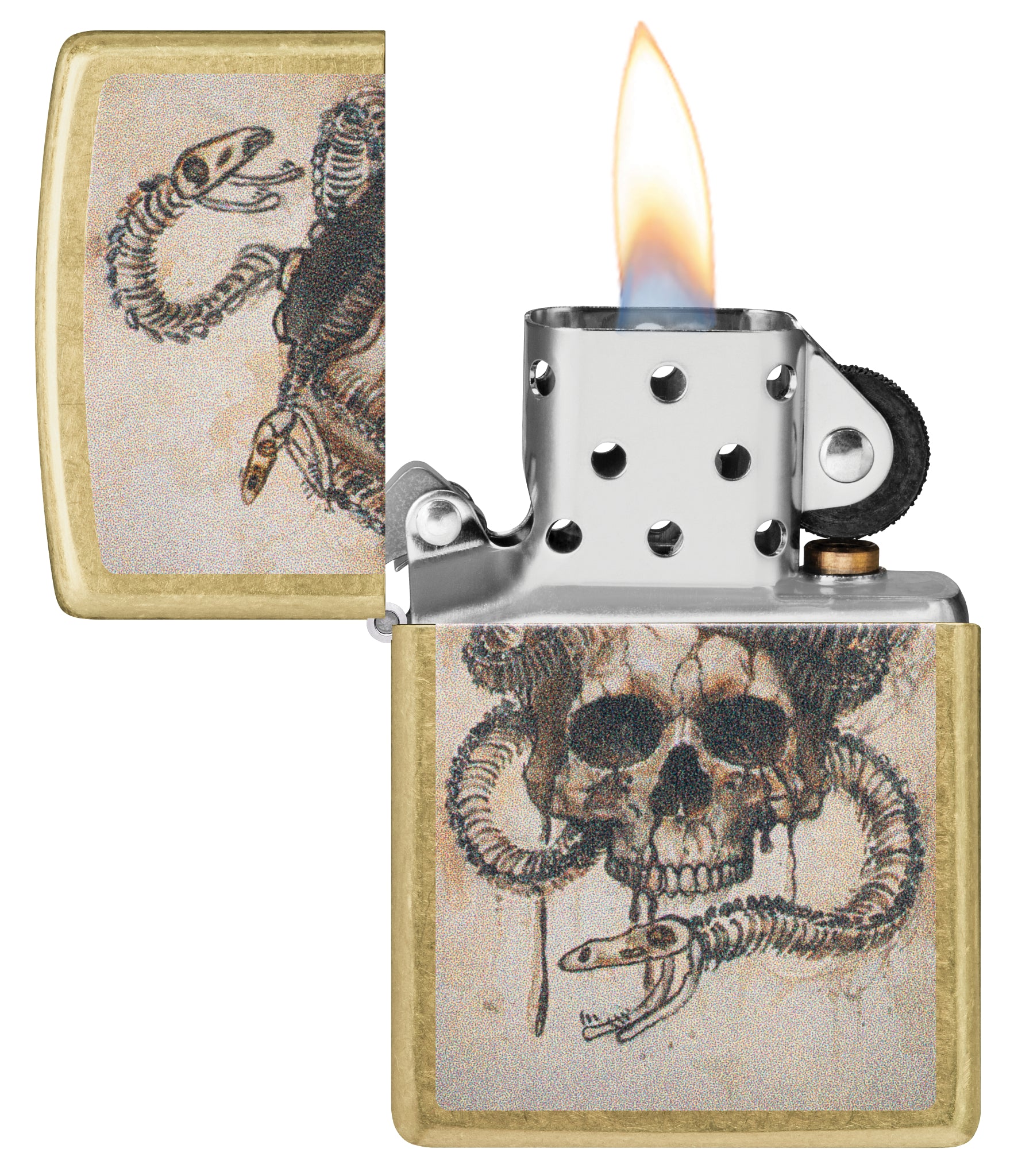 Skull and Snake Bones Design - Image 4