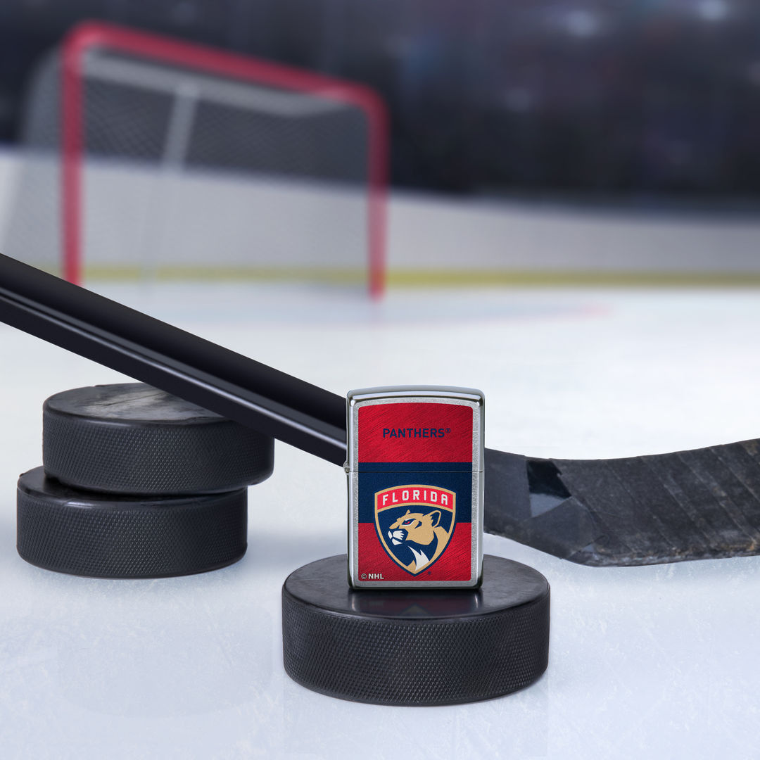 Alternative view of Florida Panthers