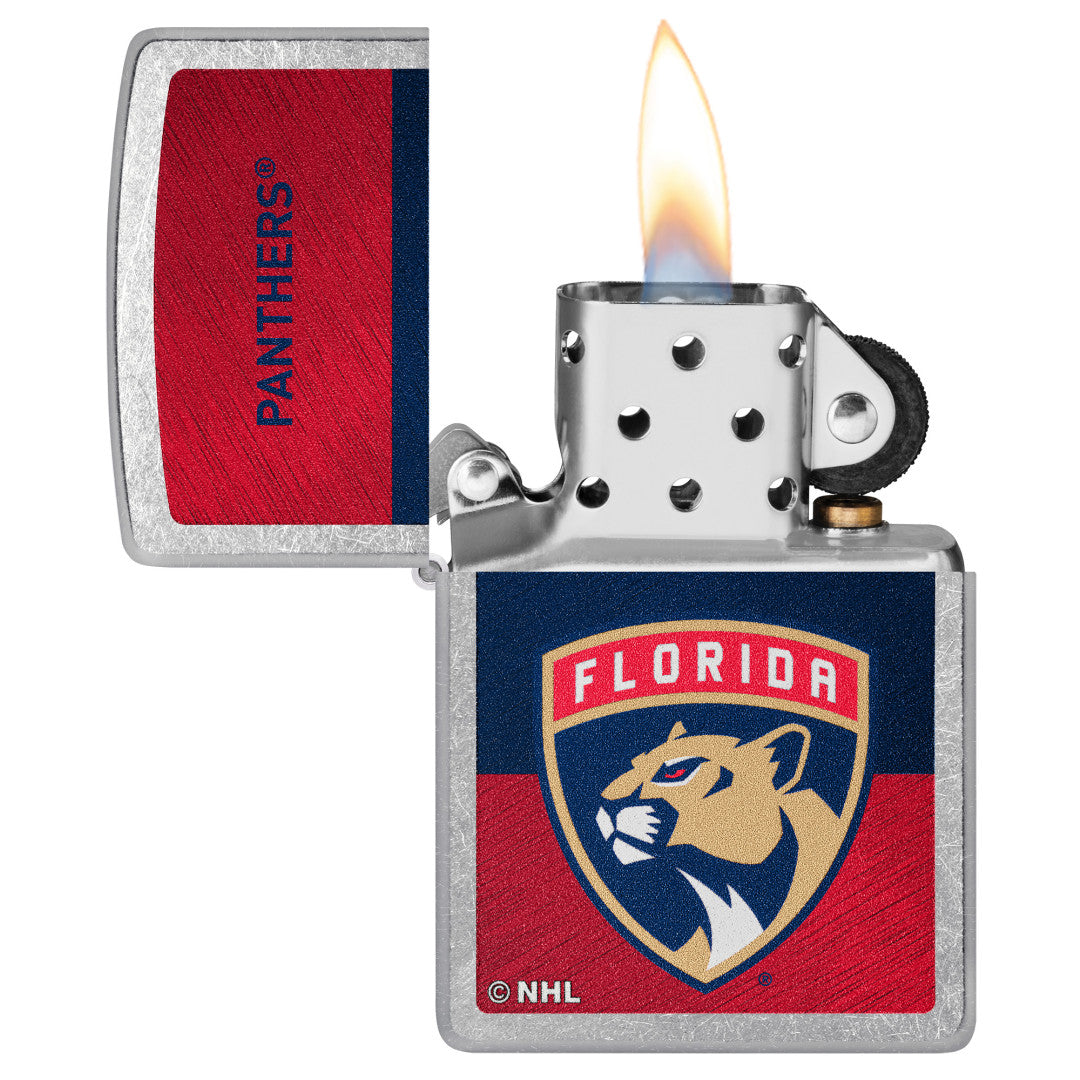 Florida Panthers - Image 3