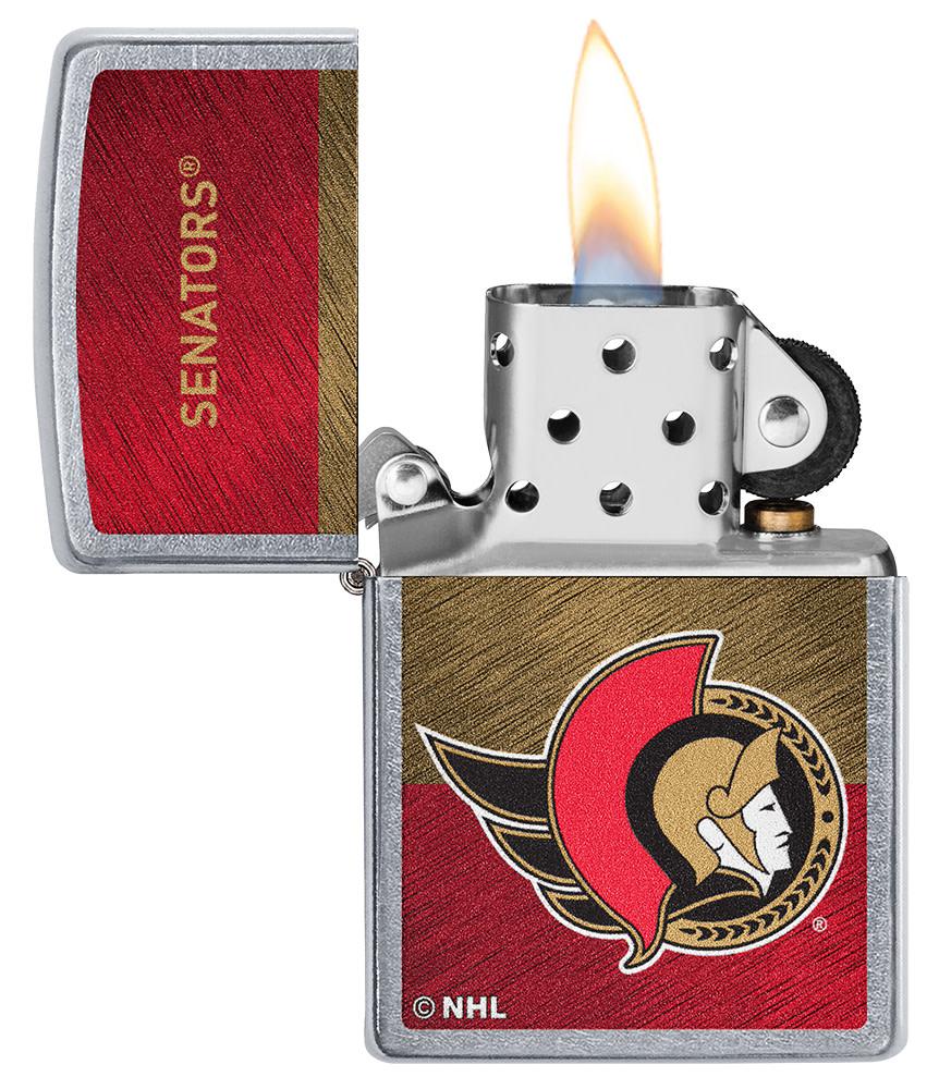 Ottawa Senators Icon Design - Image 3