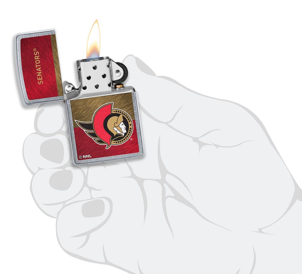 Ottawa Senators Icon Design - Image 4