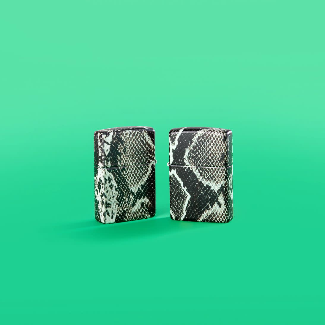 Alternative view of Snake Skin Design