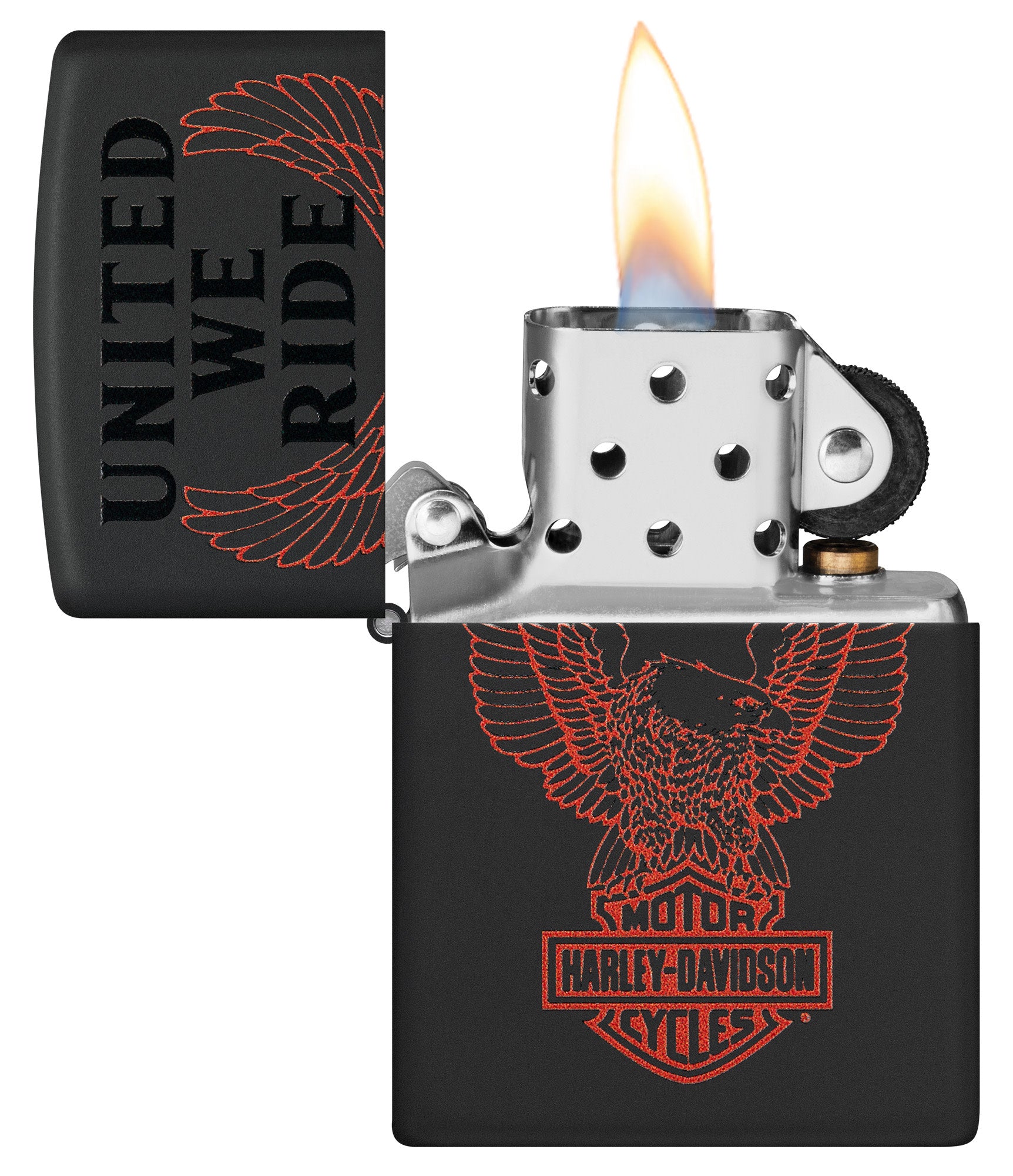 Harley-Davidson United We Ride Design - Image 3