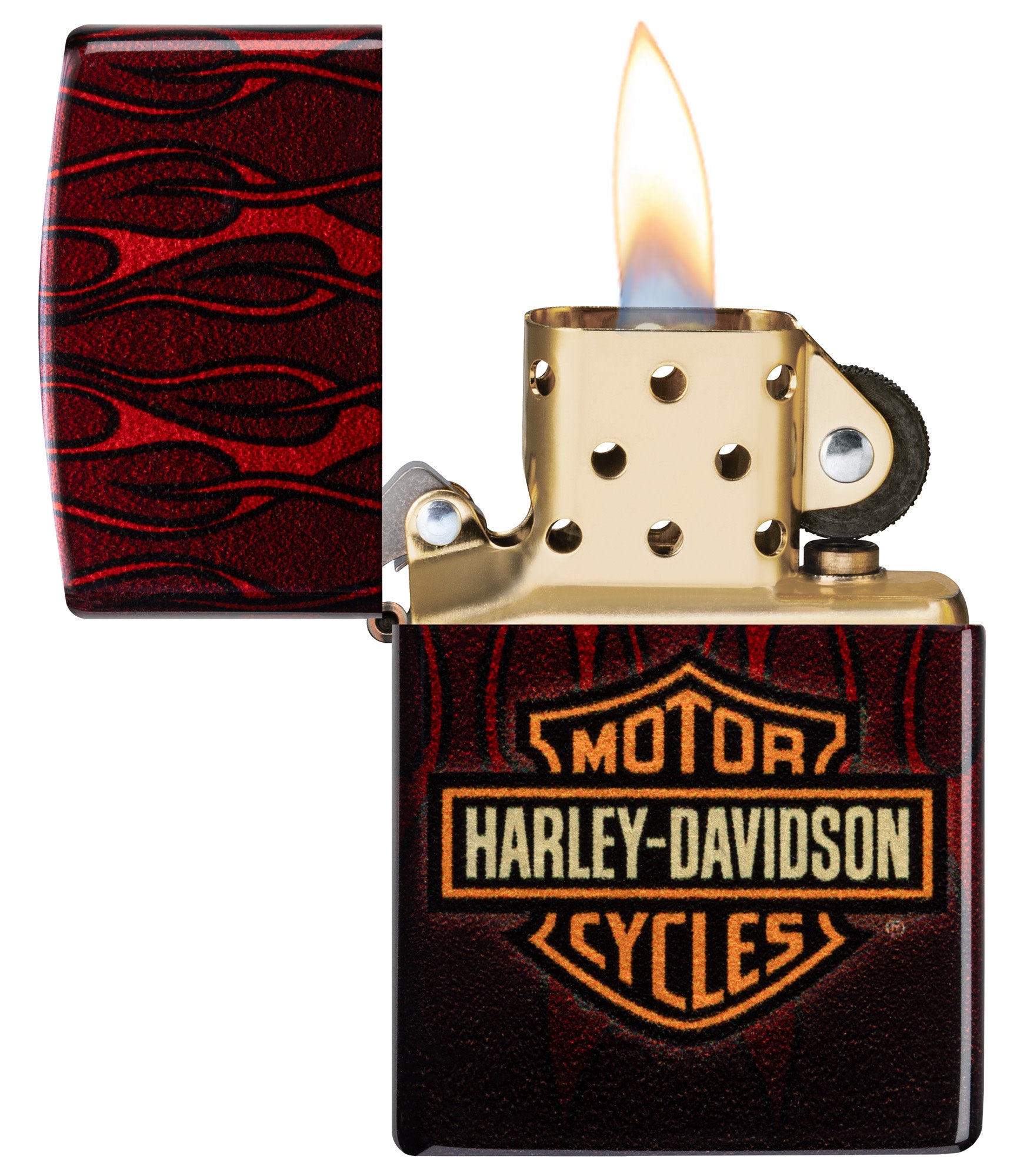 Harley-Davidson Fusion Flames Design - Image 4