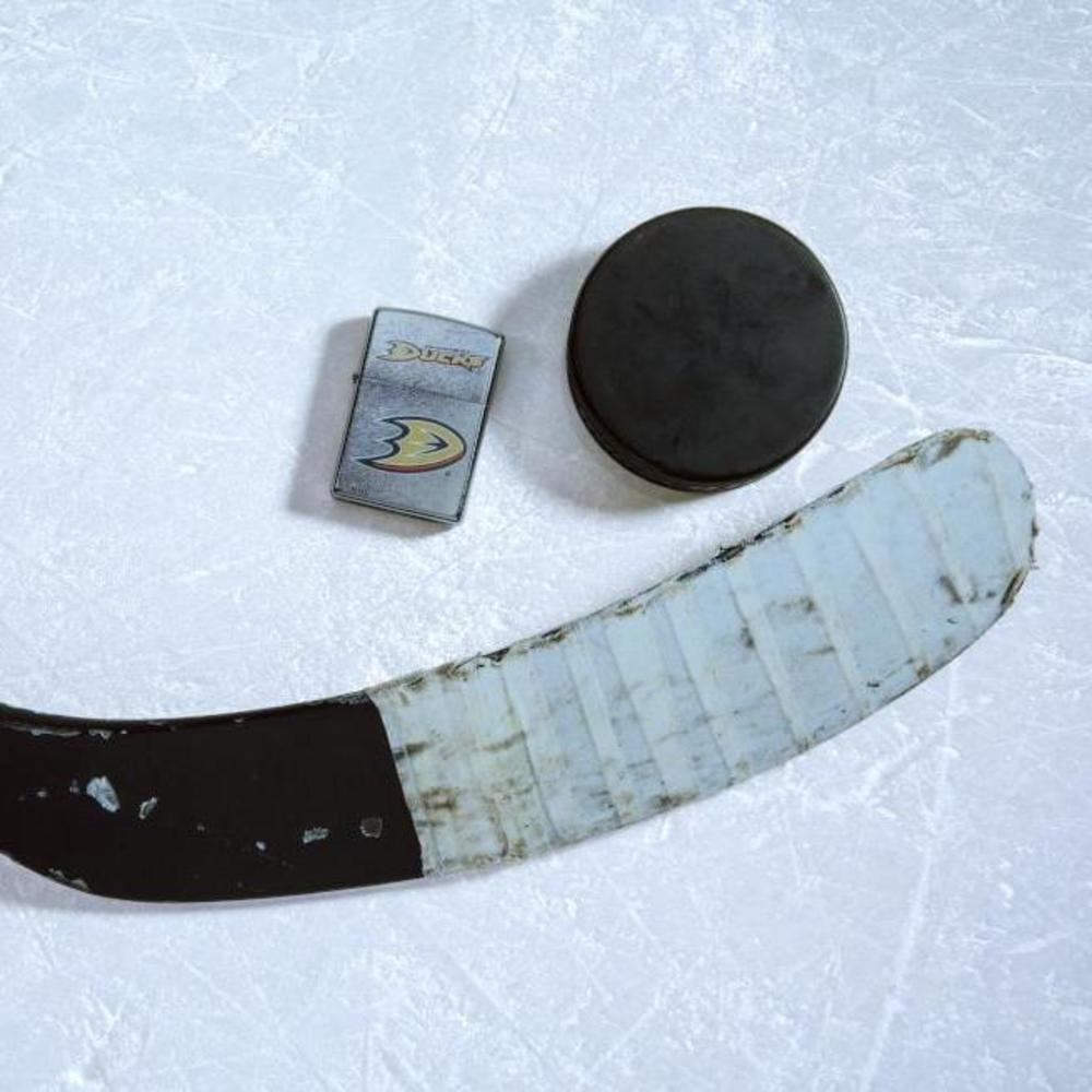 Alternative view of Anaheim Ducks Logo Design