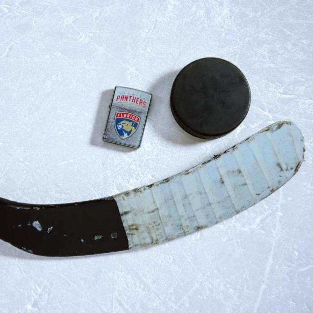 Alternative view of Florida Panthers Logo Design