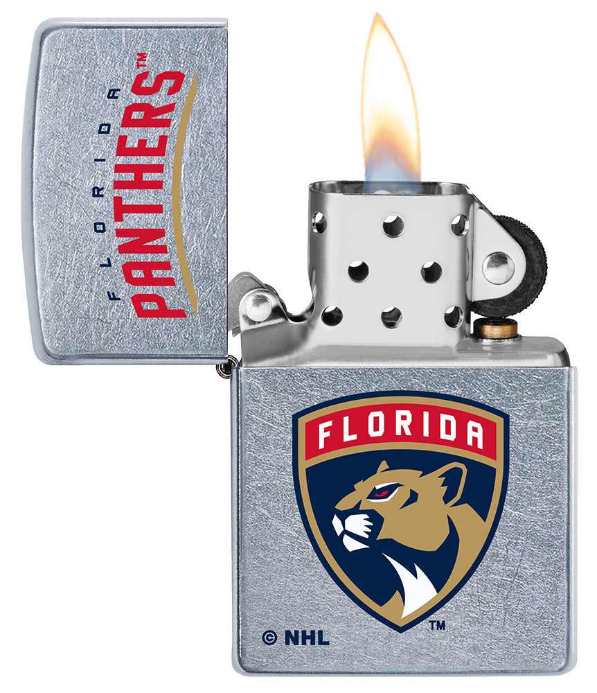 Florida Panthers Logo Design - Image 3