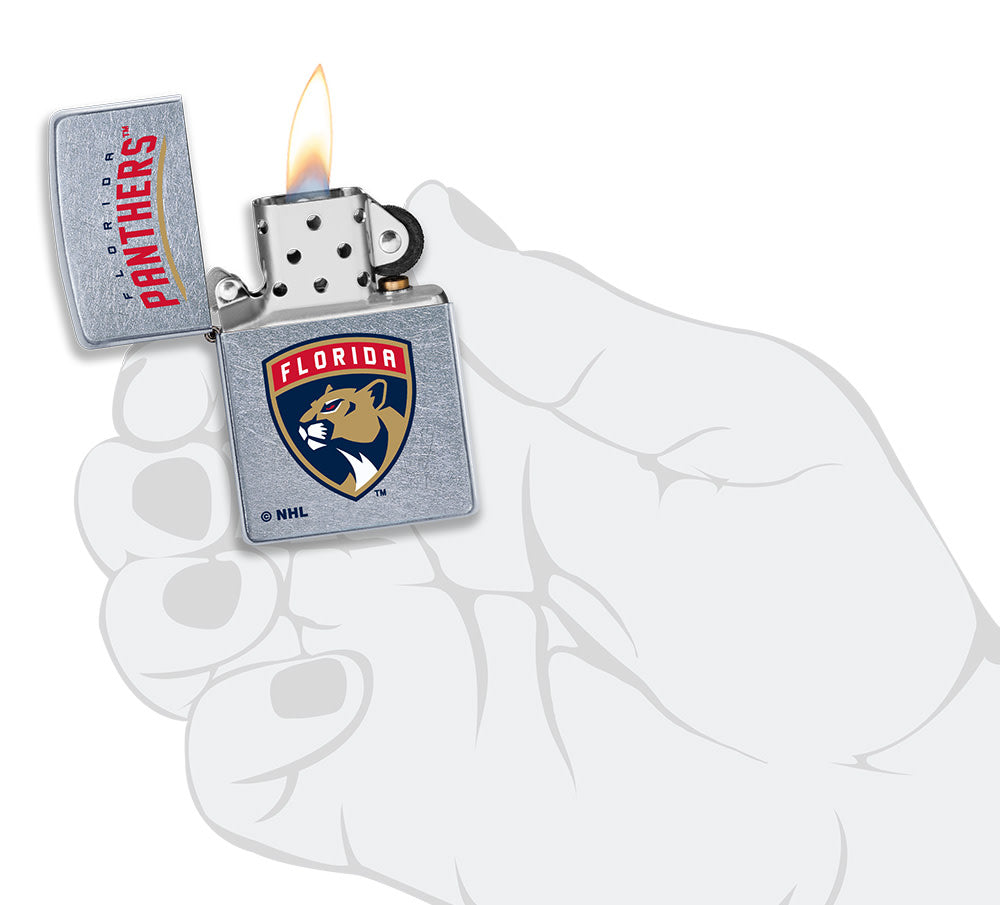 Florida Panthers Logo Design - Image 4