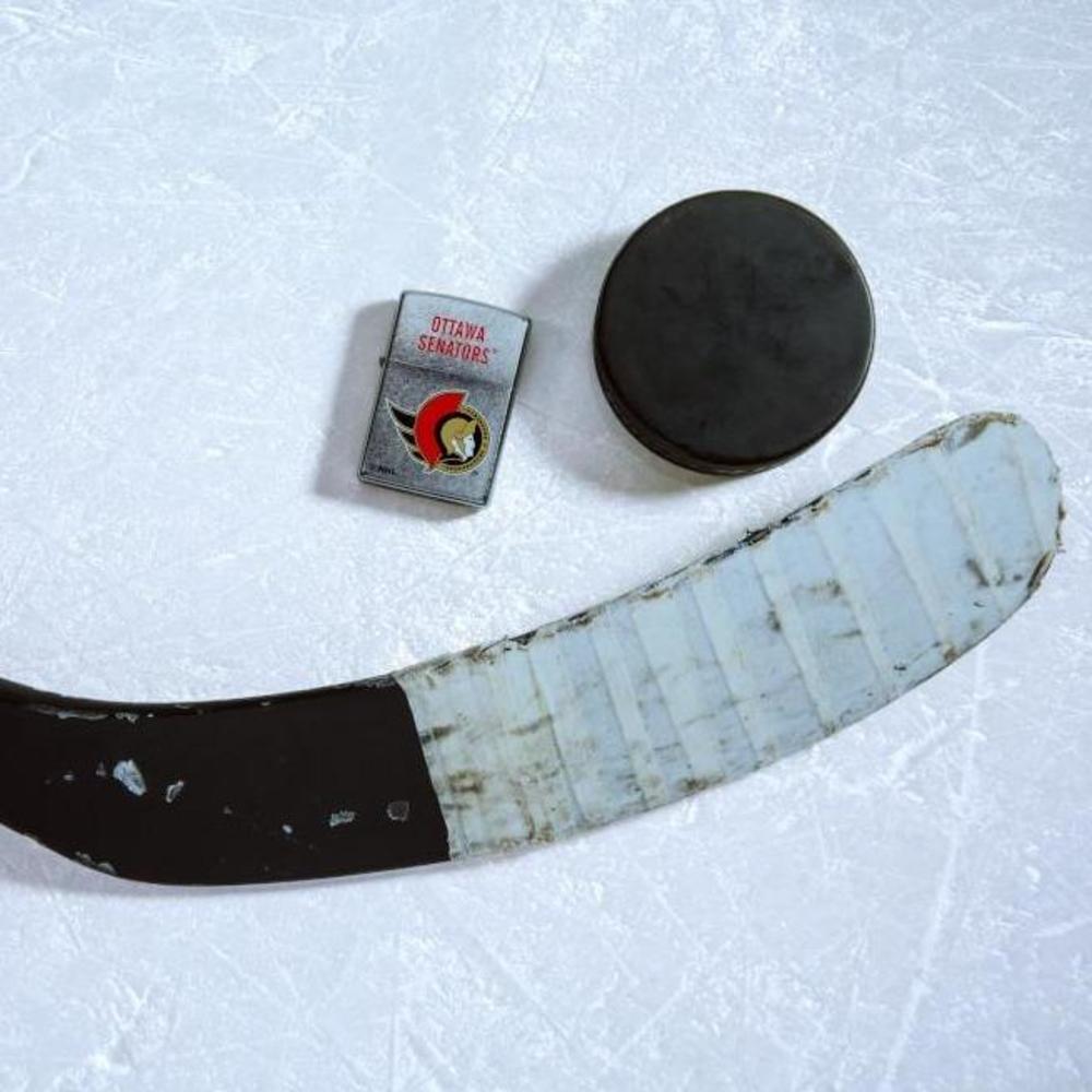 Alternative view of Ottawa Senators Logo Design