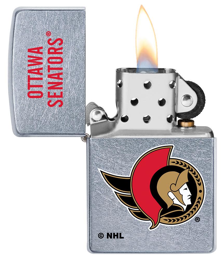 Ottawa Senators Logo Design - Image 3