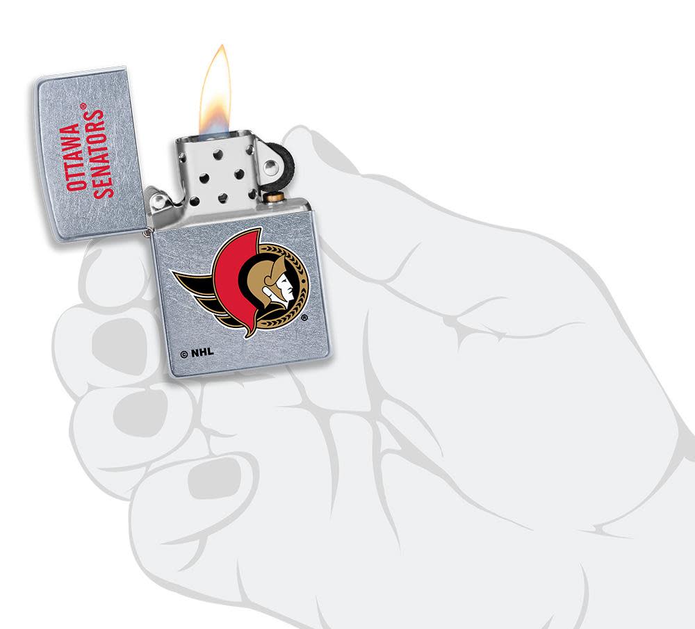 Ottawa Senators Logo Design - Image 4