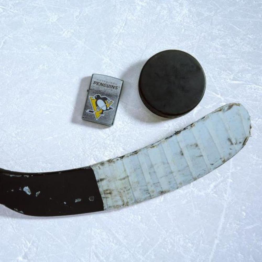 Alternative view of Pittsburgh Penguins Logo Design