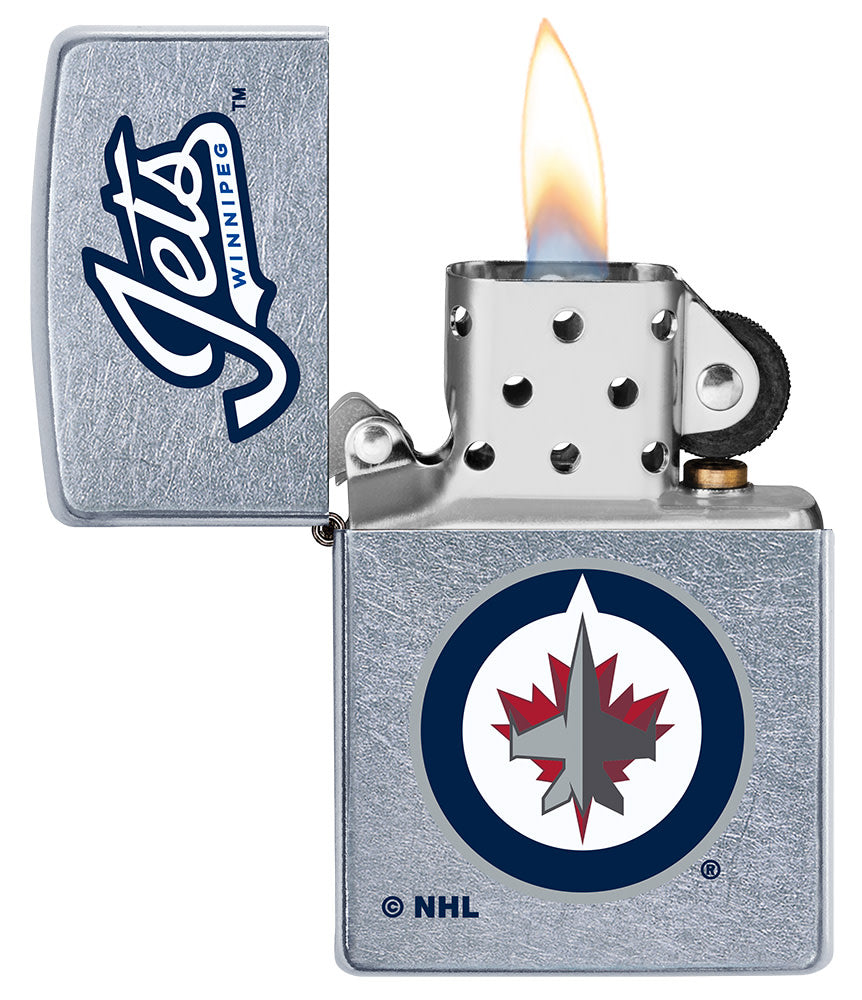 Winnipeg Jets Logo Design - Image 3