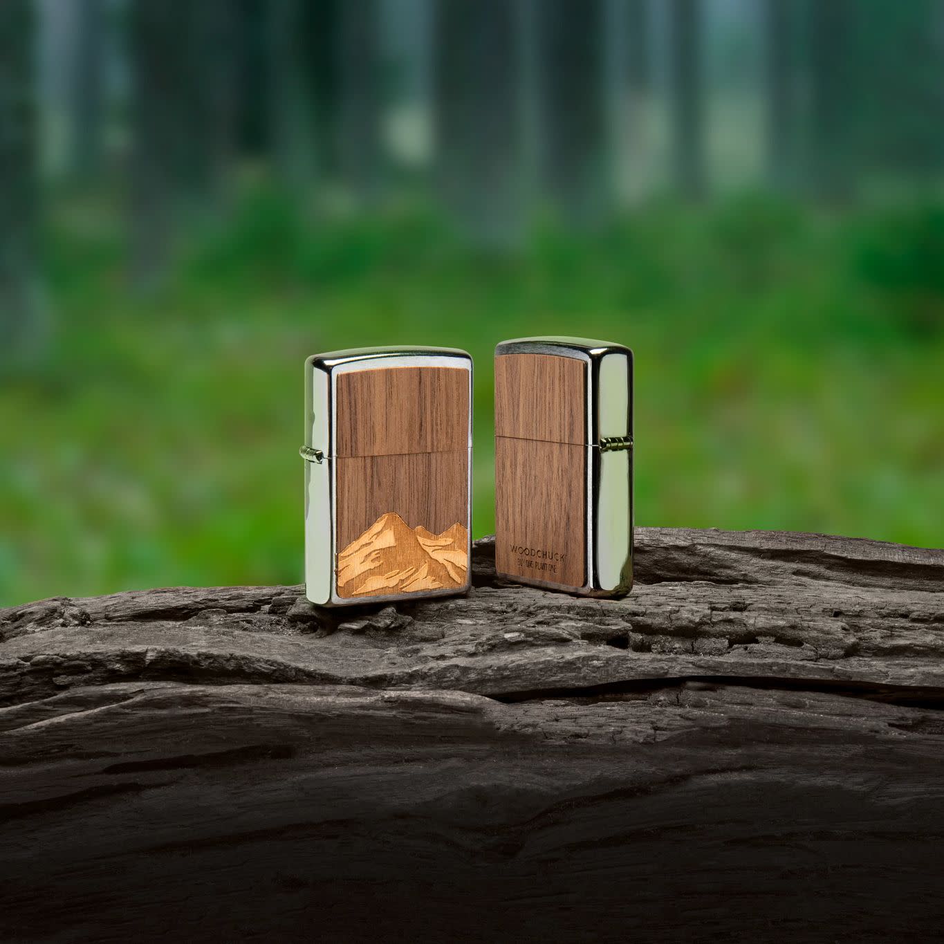 Alternative view of WOODCHUCK USA Mountains Emblem